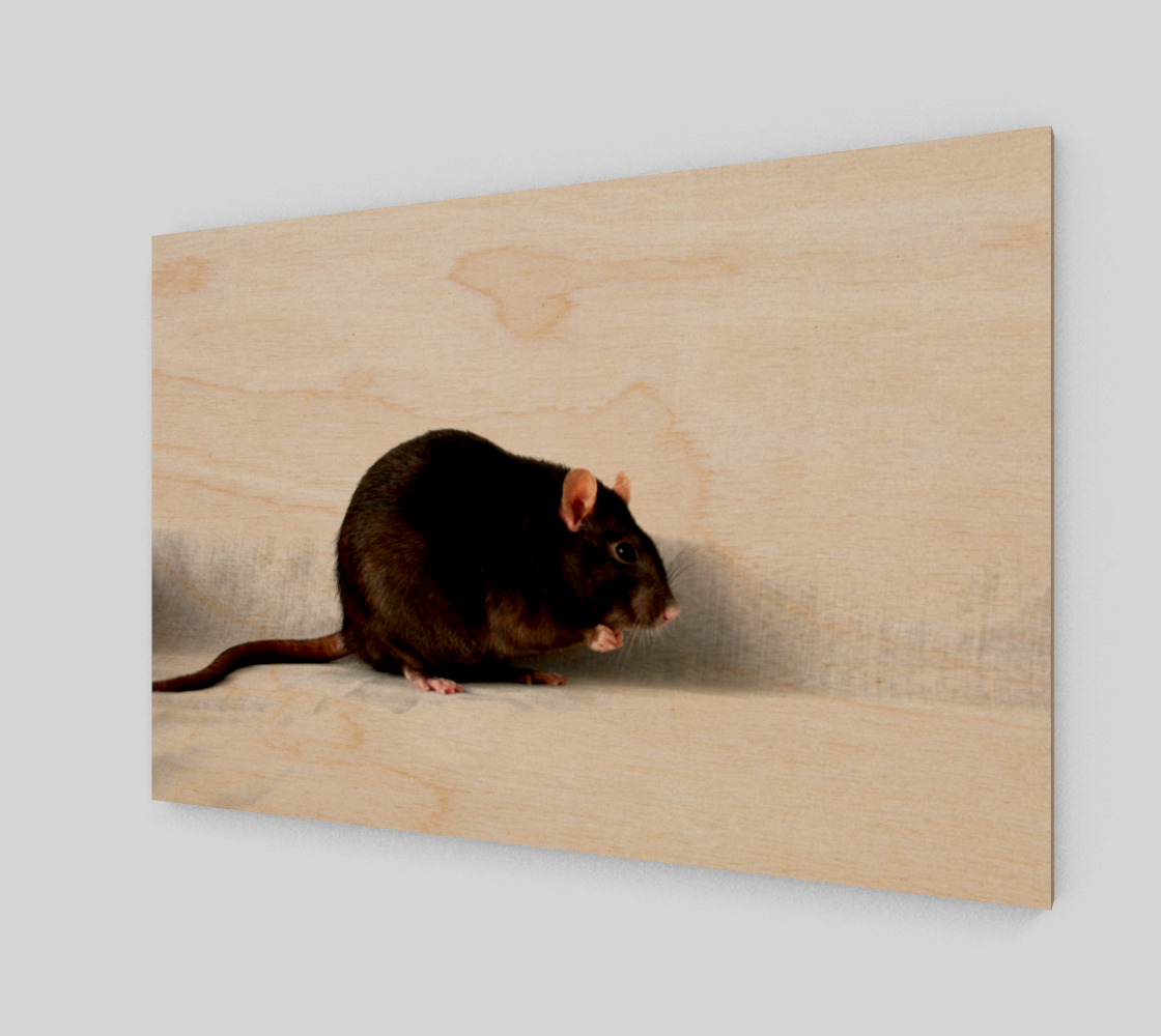 Rat Art Print preview