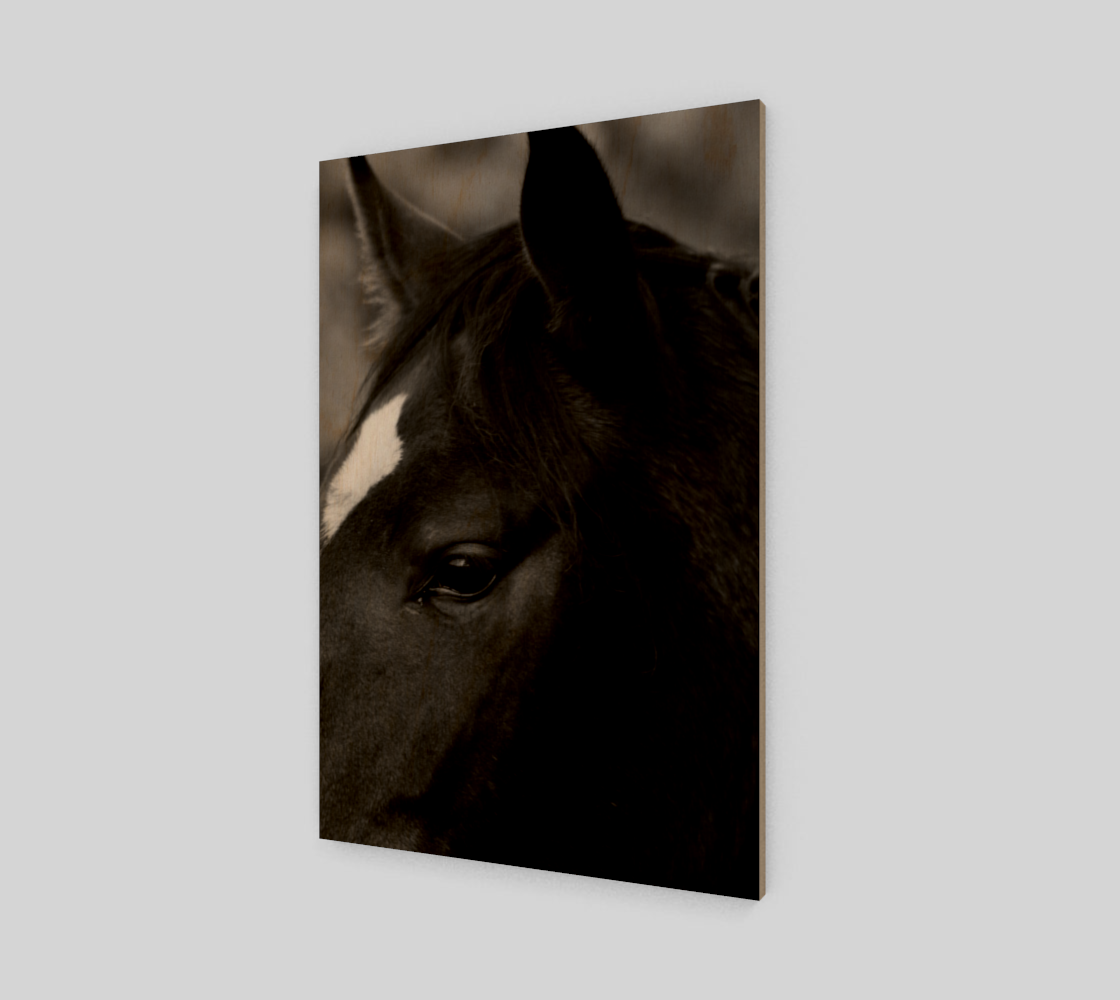 Horse Art Print preview