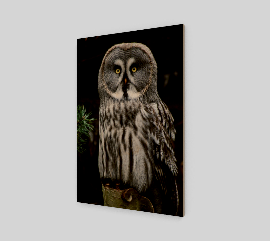 The Great Grey Owl Wood Print preview
