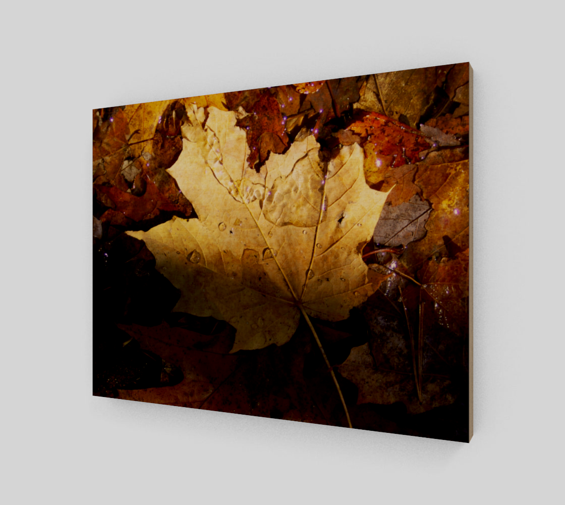 wet leaf preview