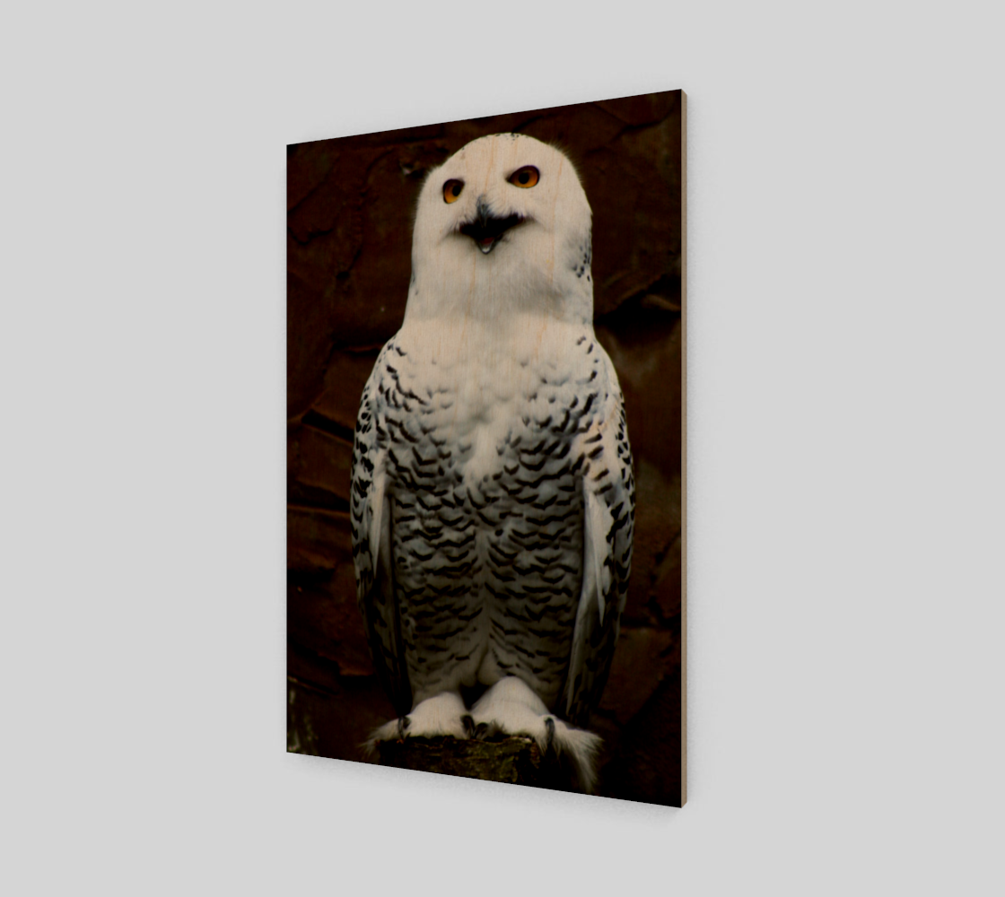 Snowy Owl Poster Print preview