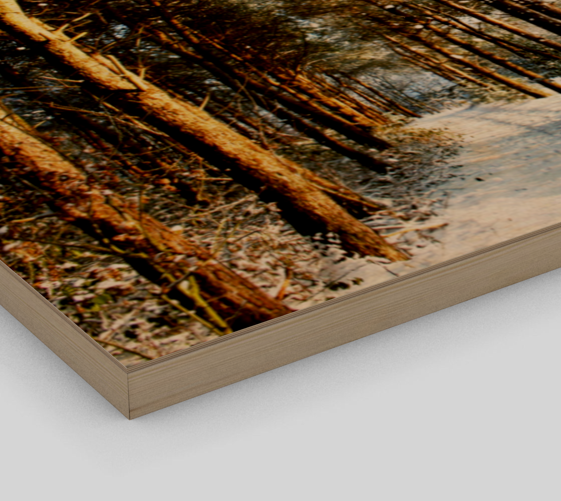 Aperçu de Forest Snow Scene Poster Print #3
