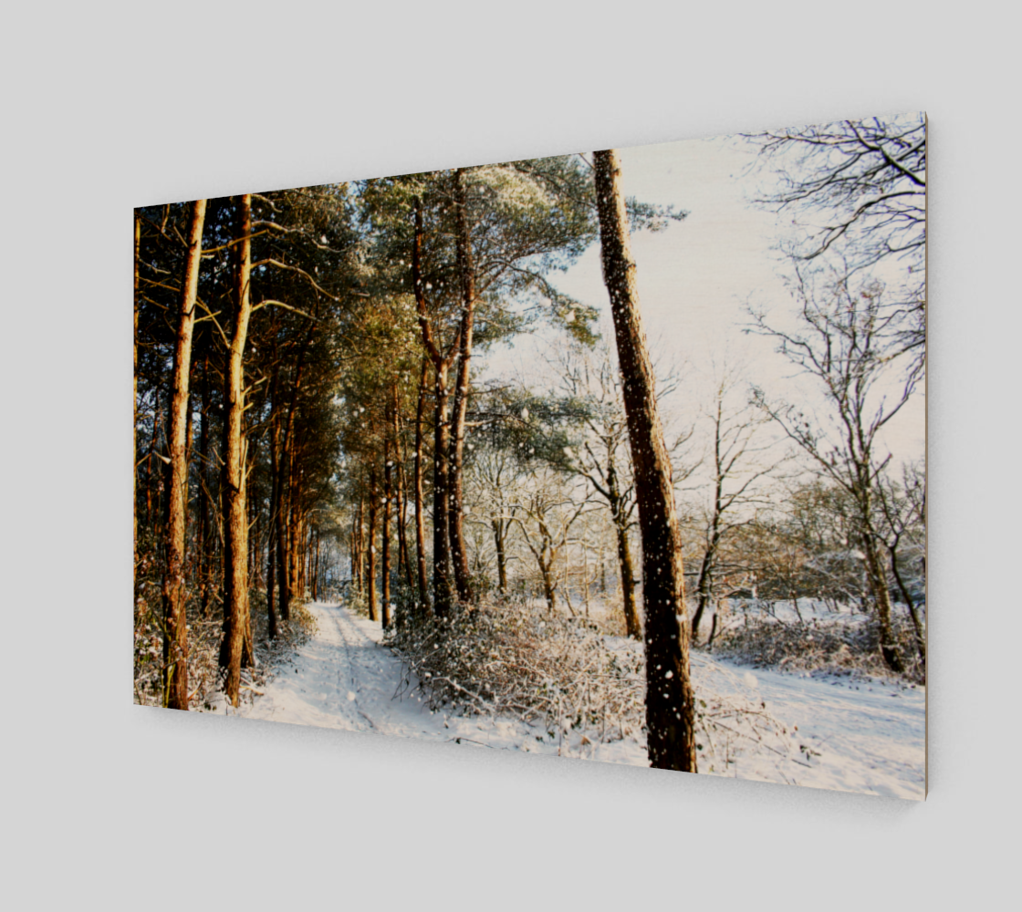 Aperçu de Forest Snow Scene Poster Print #2