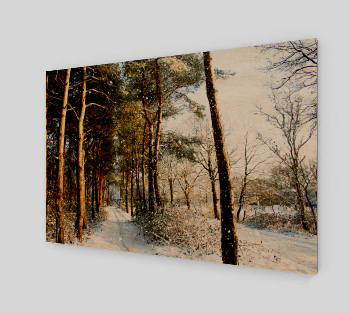 Aperçu de Forest Snow Scene Poster Print #1