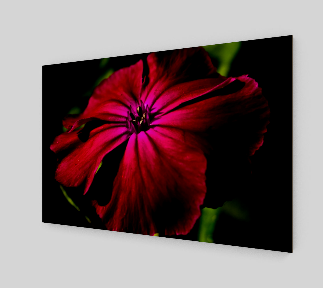 Purple Wild Flower Art Print preview #2