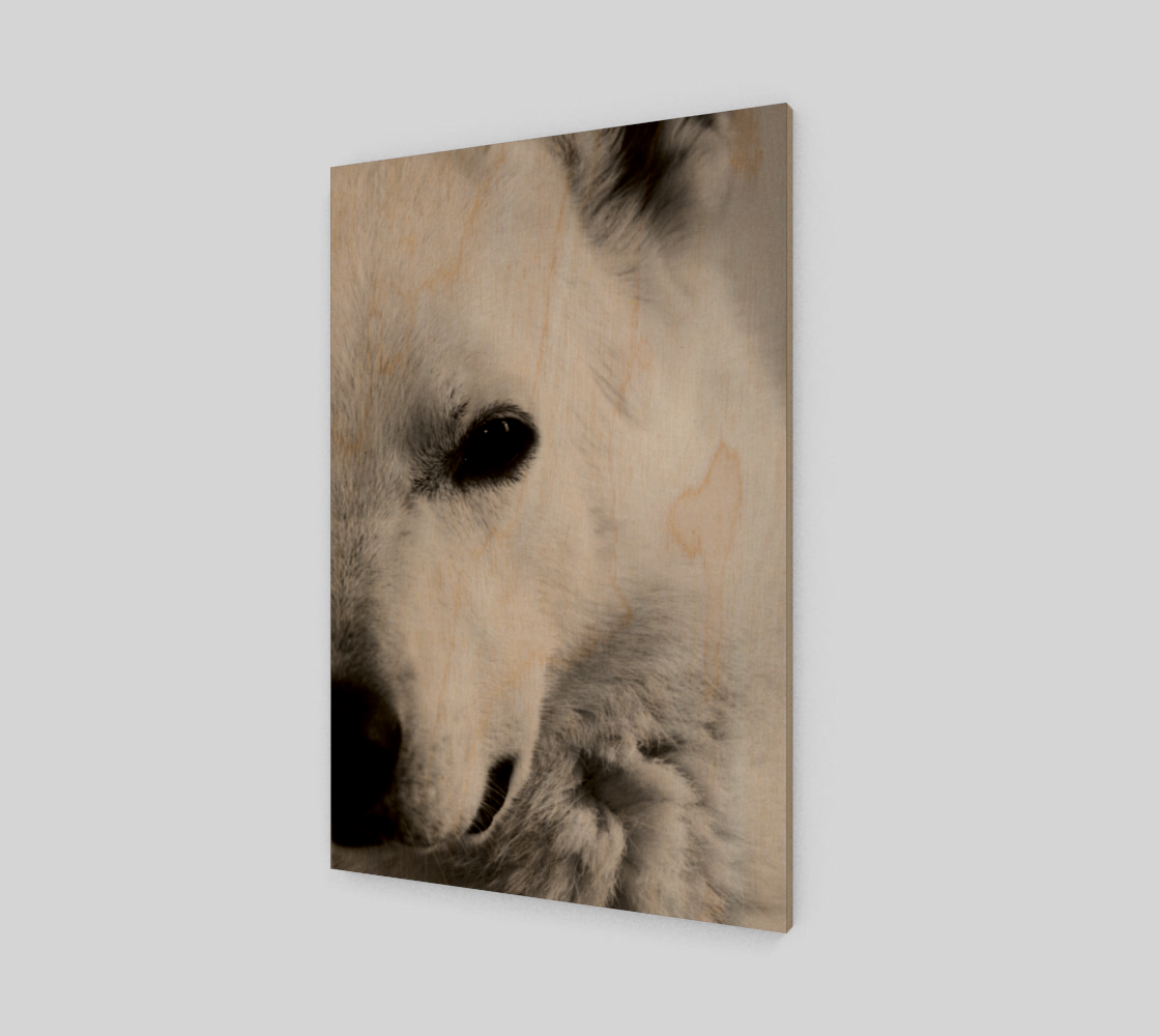 White German Shepherd Poster Print preview #1
