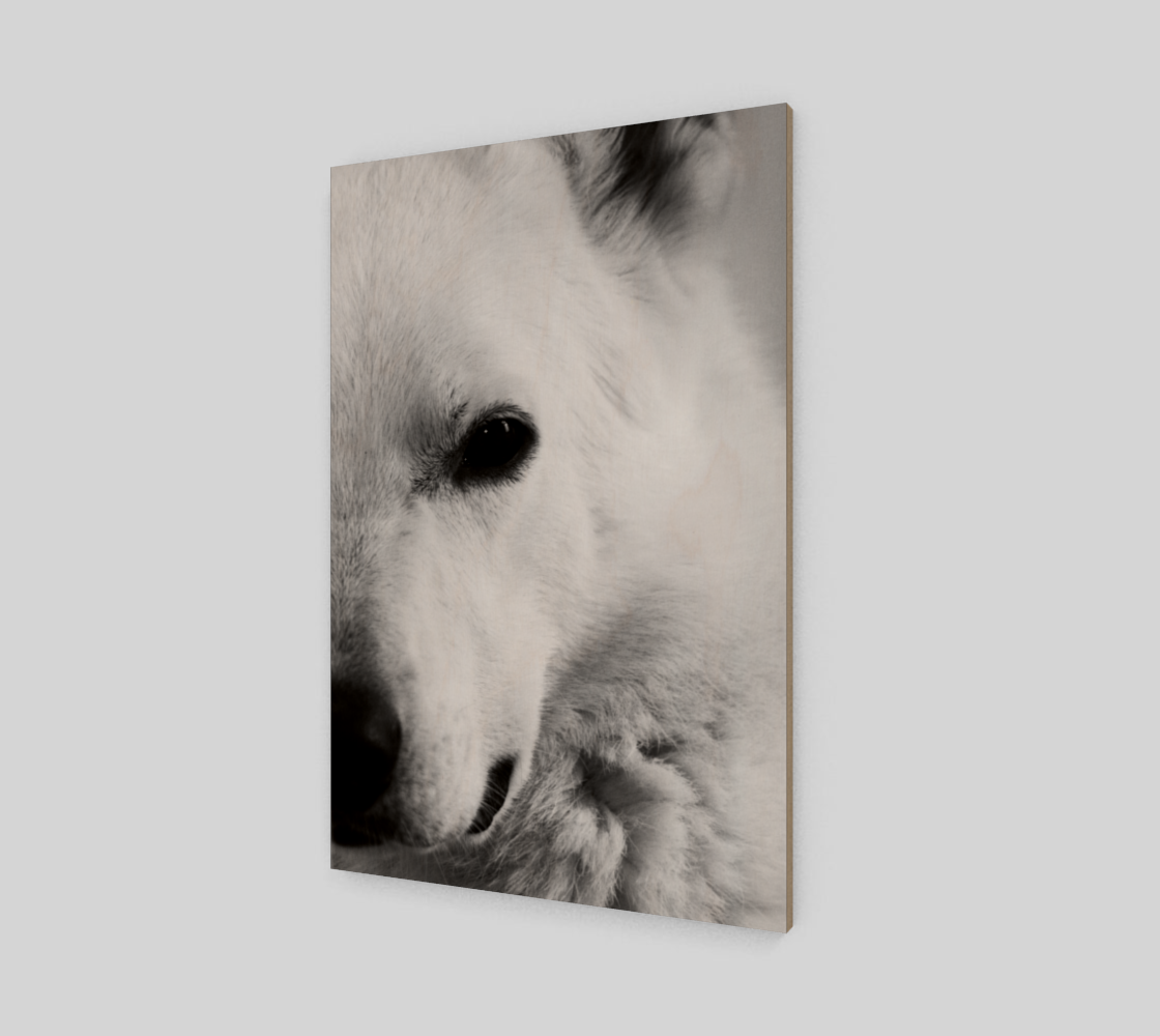 Aperçu de White German Shepherd Wood Print #2