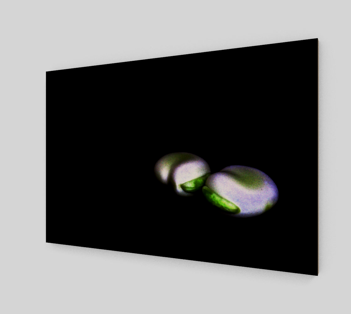 Two Broad Beans Wood Print preview #2