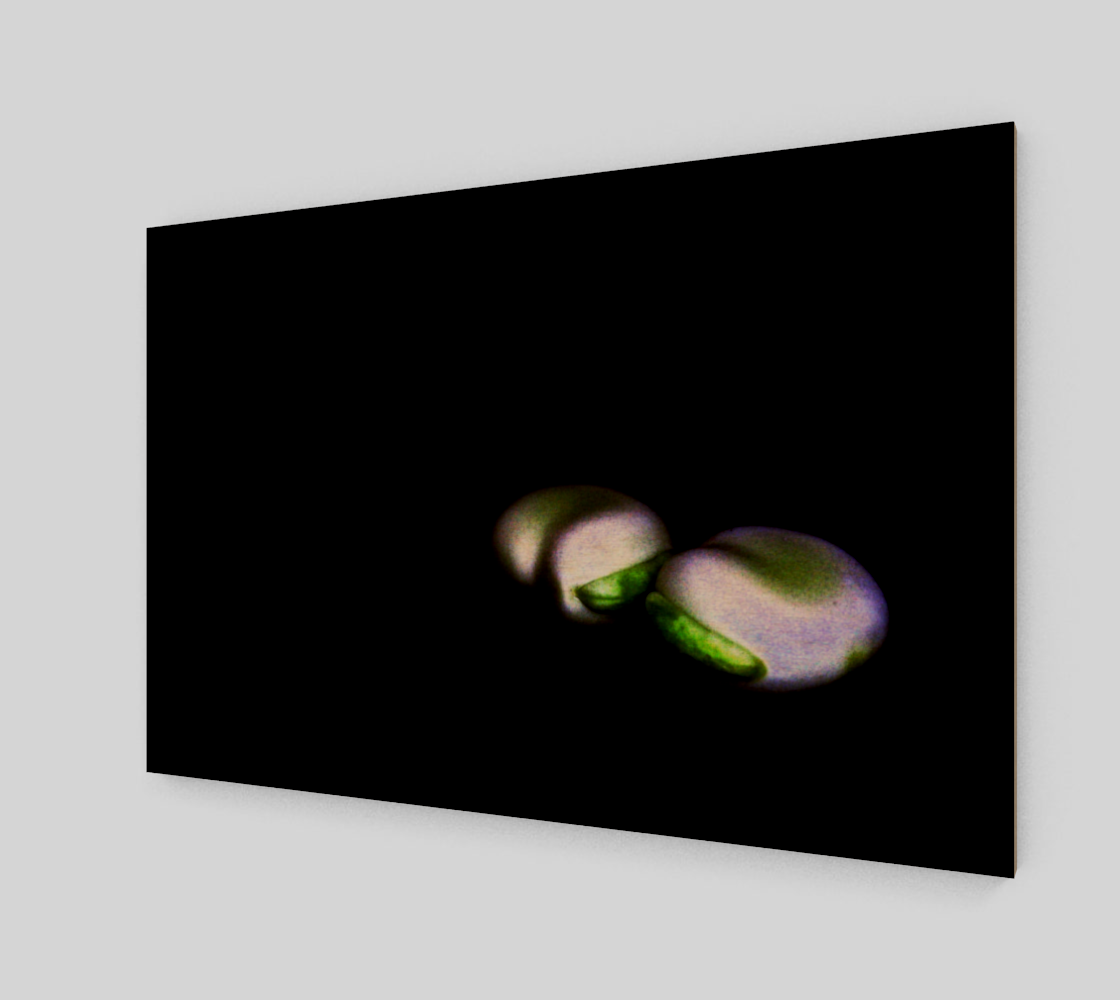 Two Broad Beans Art Print preview #1