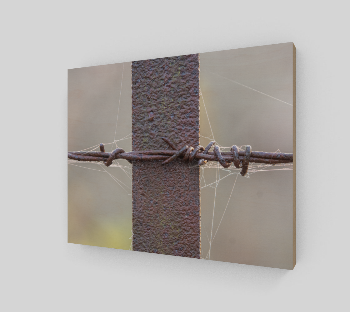 Barbed fence preview #2