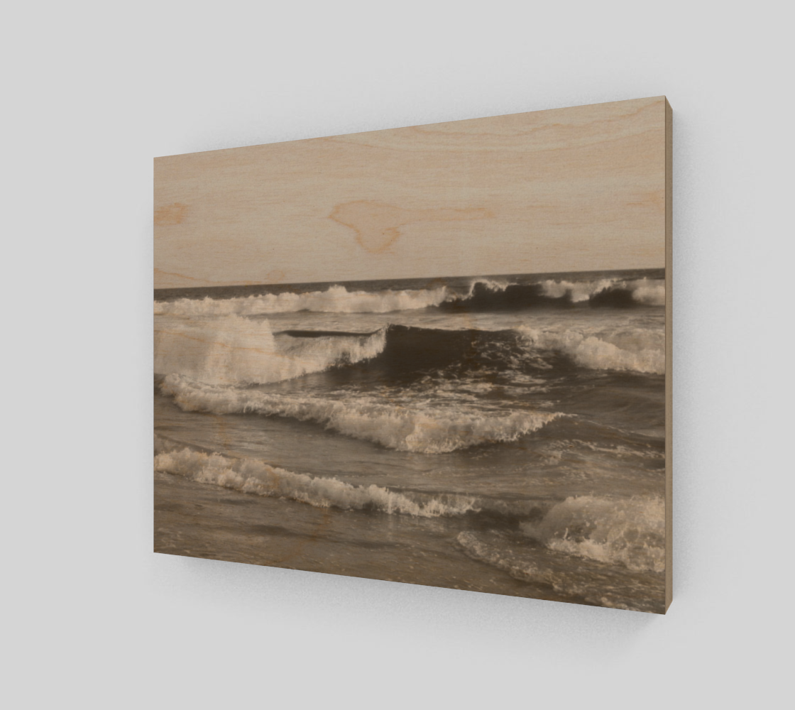 Huntington Beach Waves in Black and White preview #1