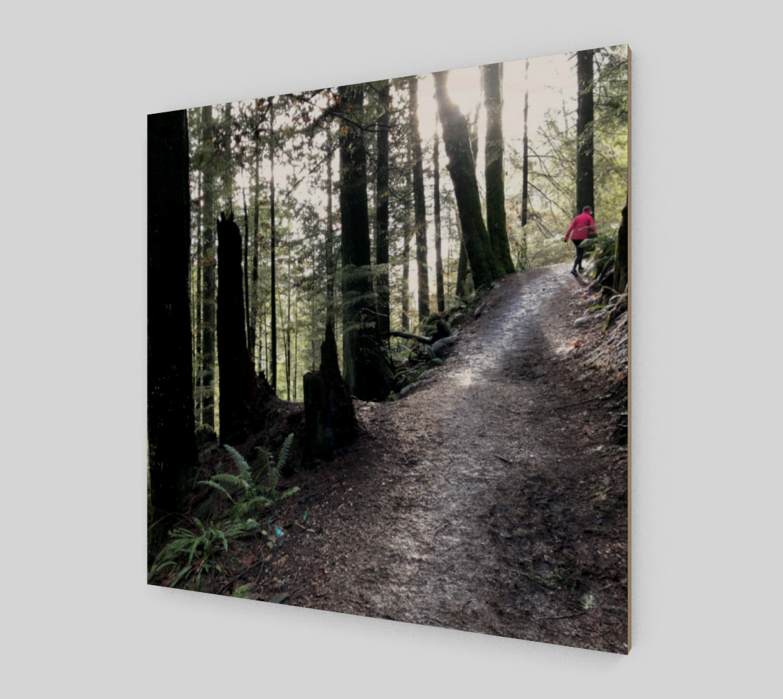 baden powell trail preview #2