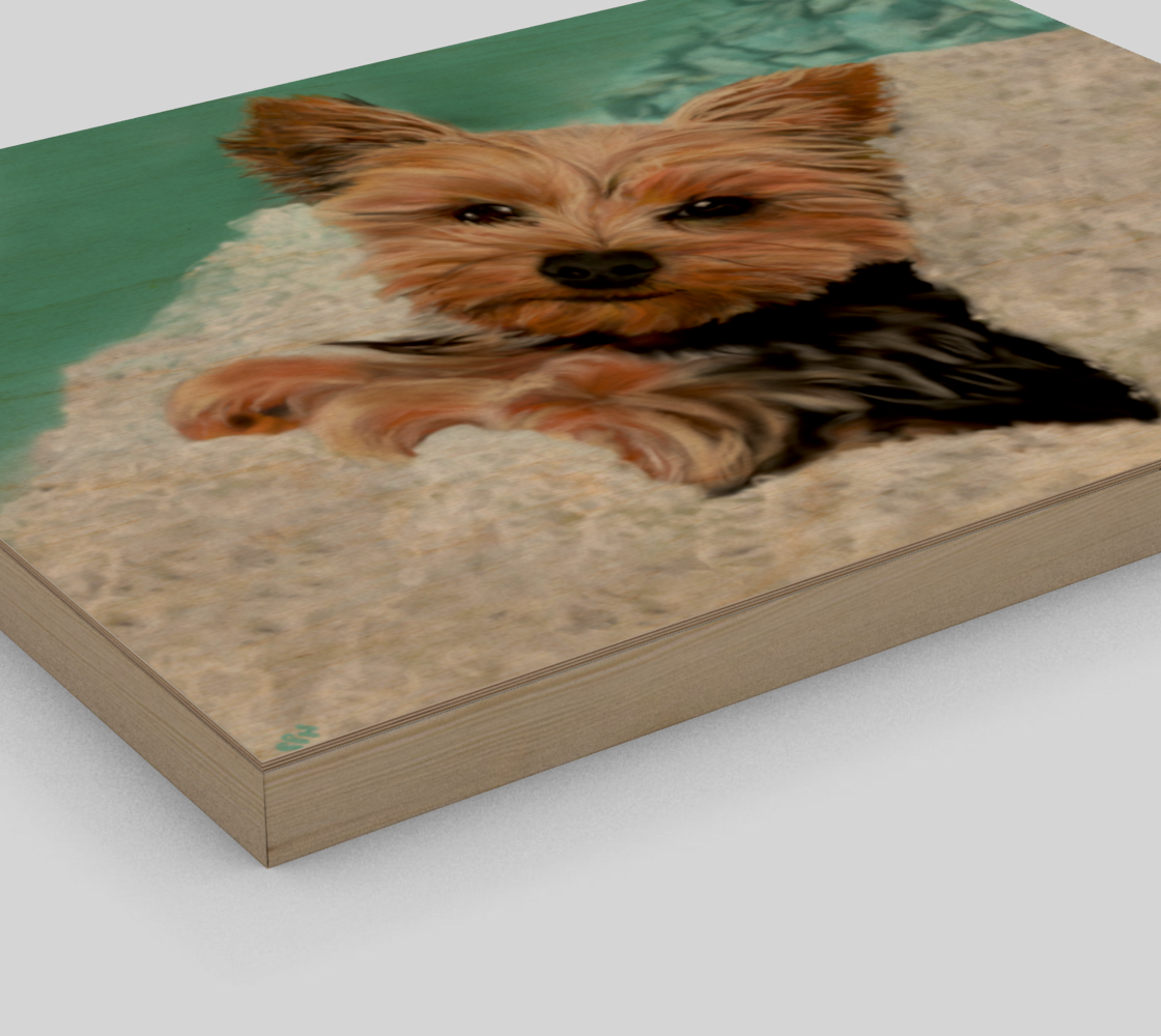 Adorable Yorkie Dog preview #3