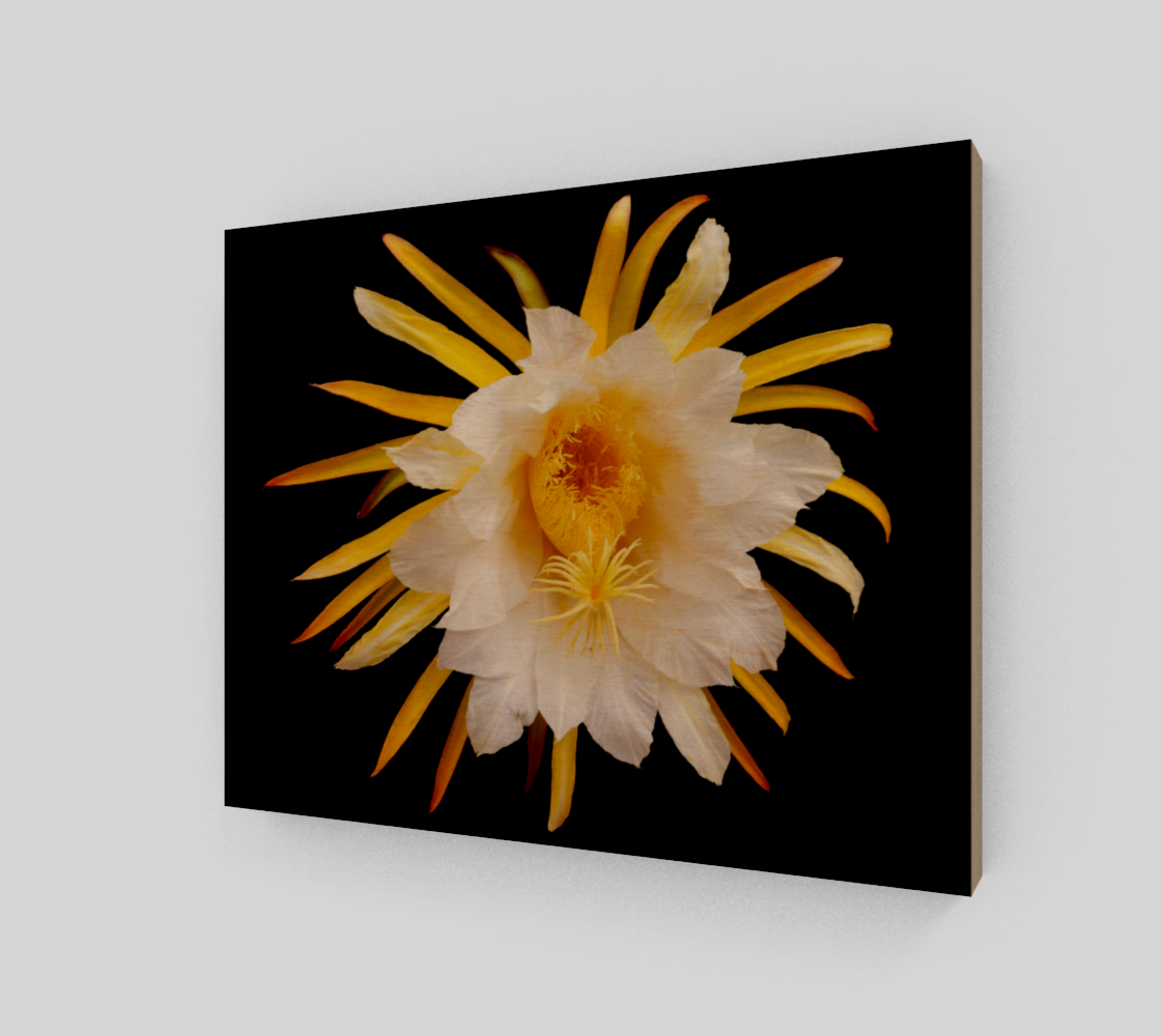 Aperçu de Flower with white and yellow petals and yellow pistils wood print