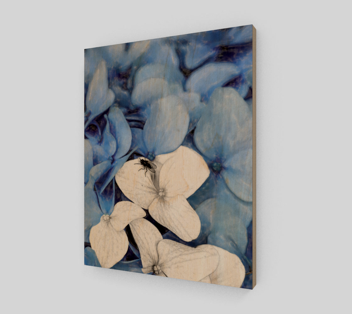 Country Fly Blue Hydrangea Watercolor preview #1