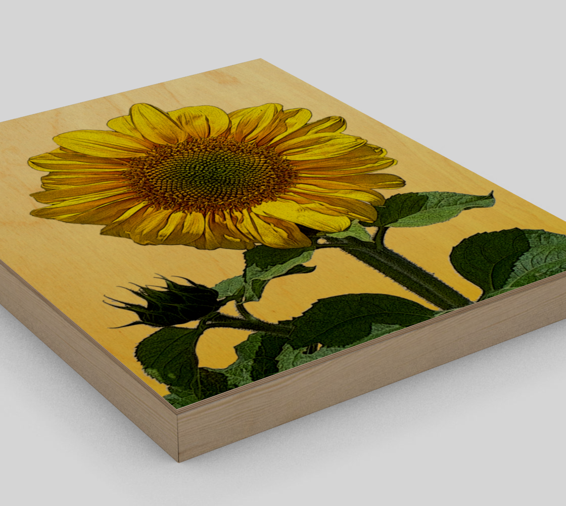 Sunflower preview #3
