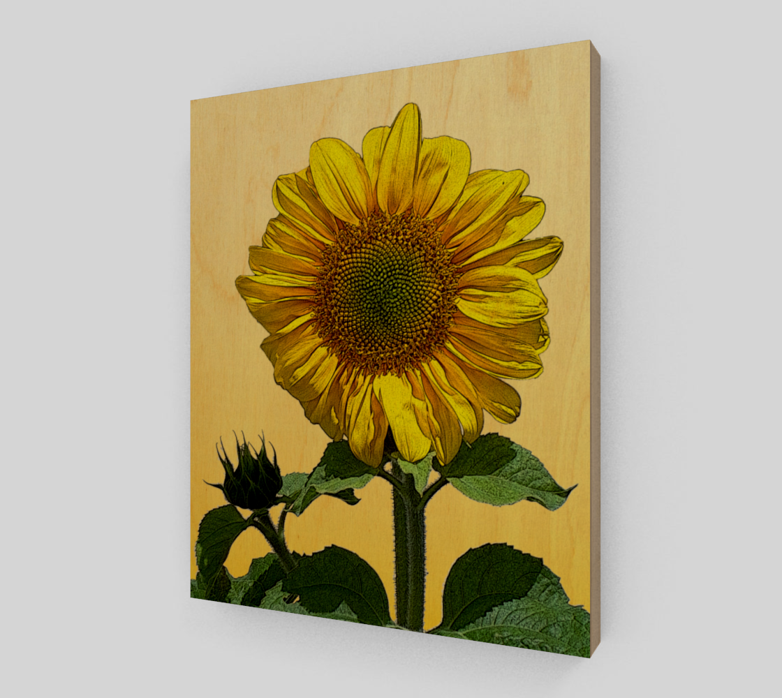 Sunflower 3D preview