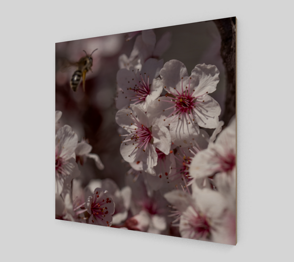 Sand Cherry & Honey preview #2