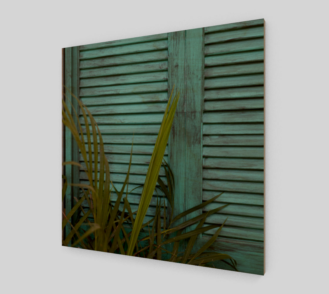 Shutters in Mexico preview