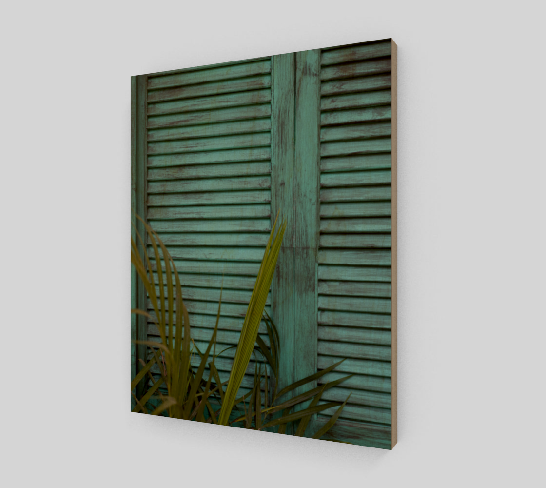 Shutters in Mexico 11x14 preview