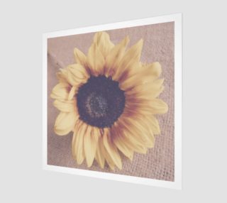 Aperçu de Soft Sunflower II