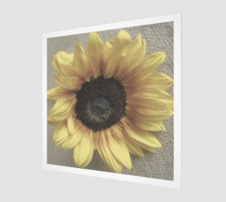 Soft Sunflower preview