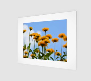 Summer Flowers Wall Art preview