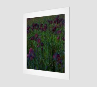 Poppy Meadow preview