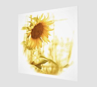 Sunflower in the Light aperçu