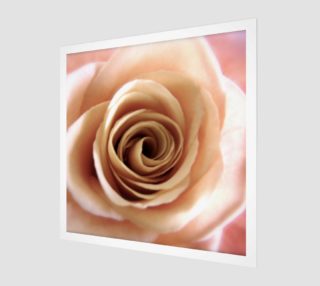 English Rose preview