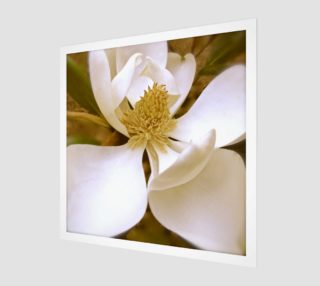 Angelic Magnolia aperçu