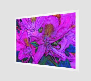 Rhododendron - Fuscia preview