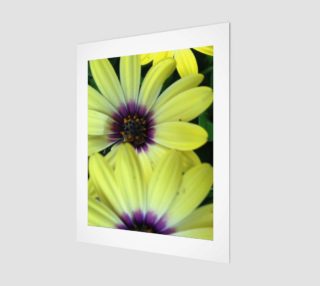 Delectable Daisy in Yellow & Purple 11 preview