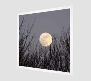 Moon Essence  aperçu