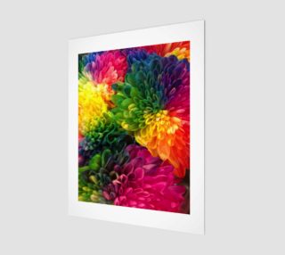 Rainbow Dahlias preview