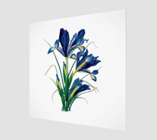 FF - Vintage Flower - Blue Iris preview