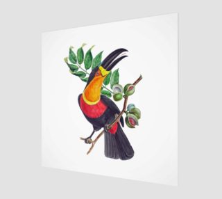 FF - Vintage Brazil-Bird-4 - Toucan preview