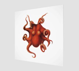 FF - Octopus-2 preview