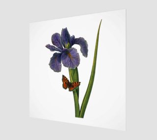 FF - Vintage Flower - Iris and Butterfly preview