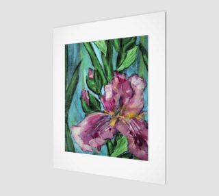 Pink Garden Iris 8 x 10 preview