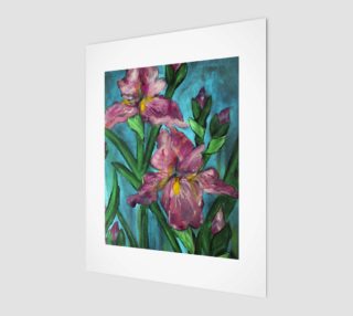 Floral Pink Irises 8 x 10 preview