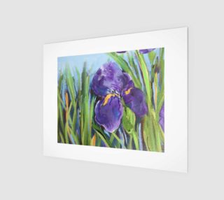 Purple Iris 10 x 8 preview