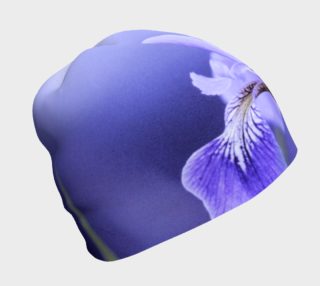 Aperçu de iris versicolore, fleur de lys, blue flag iris