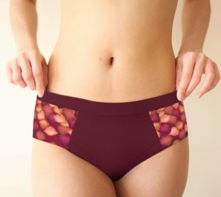 Falling Leaves Cheeky Briefs preview