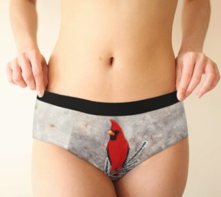 The red cardinal in winter Cheeky Brief preview