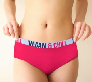 'VEGAN & CHILL' Pink Panther Cheeky Briefs preview