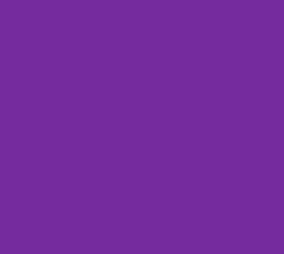 Julia's Orbit Purple aperçu