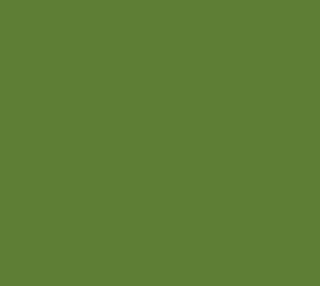 Molecular Motion Olive Green Solid preview