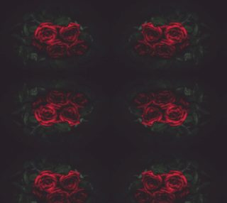 Roses preview