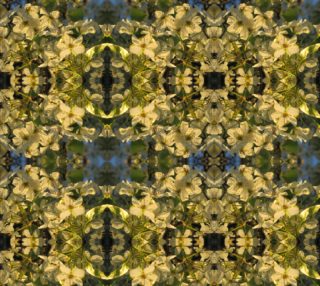 Pear Blossom Cantata 1914 bas mir 12.49 x 9.37 preview